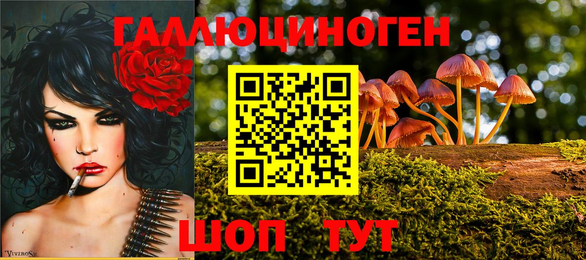 Воркута  Псилоцибиновые грибы мицелий  Вход с VPN  Галлюциногенные грибы ЛСД 
